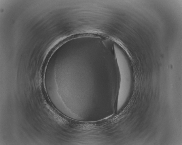 X0000082681024200702091627