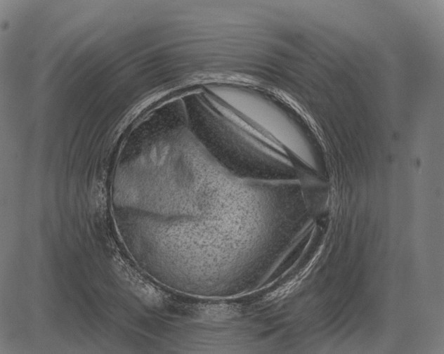 X0000082681025200702091627