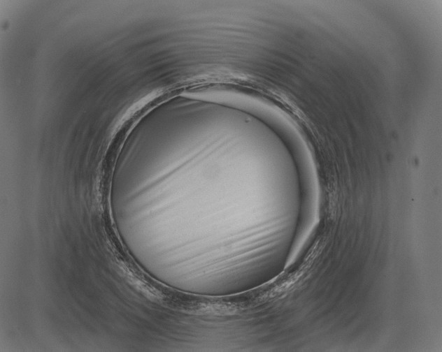 X0000082681026200702091627