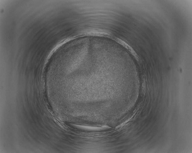 X0000082681027200702091627