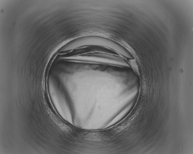 X0000082681028200702091627