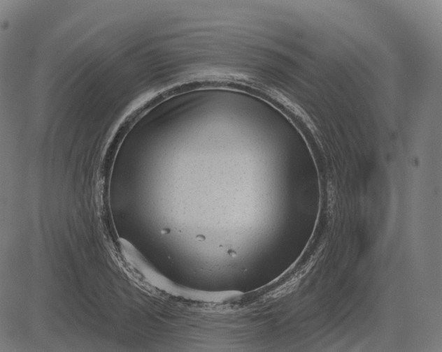 X0000082681029200702091627