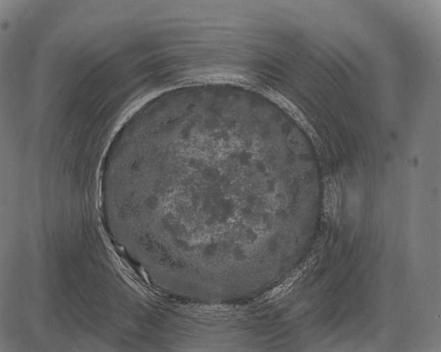 X0000082681031200702091627