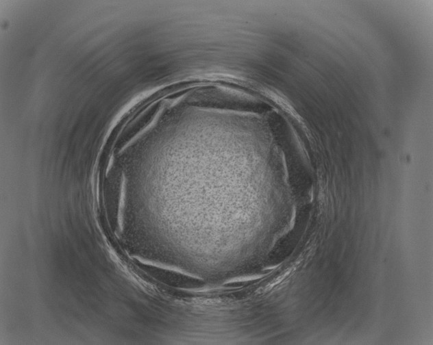 X0000082681032200702091627