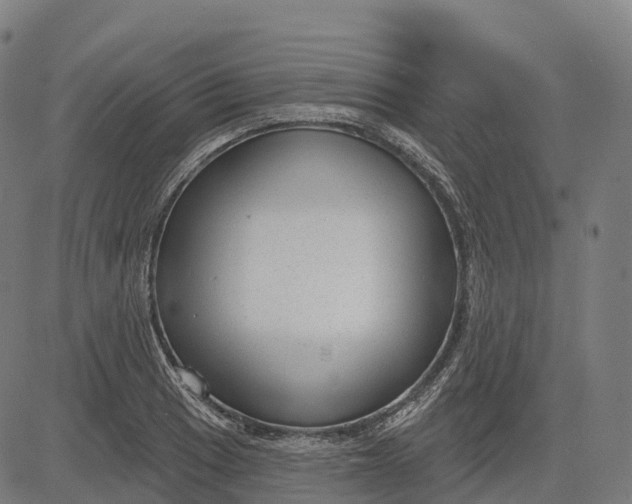 X0000082681033200702091627