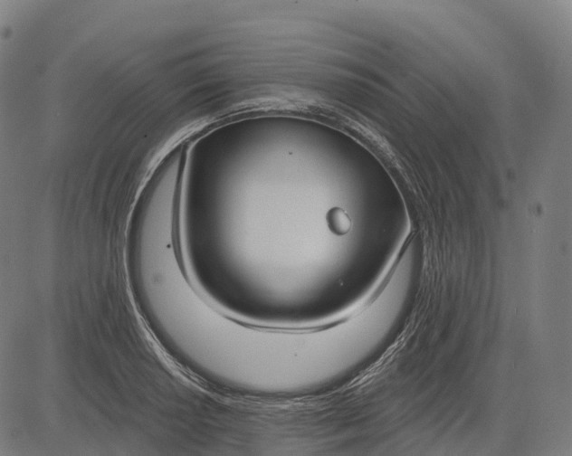 X0000082681034200702091627