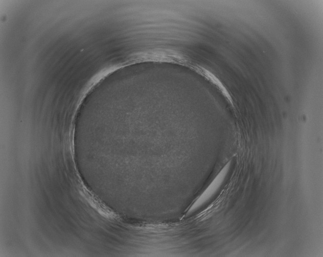 X0000082681035200702091627