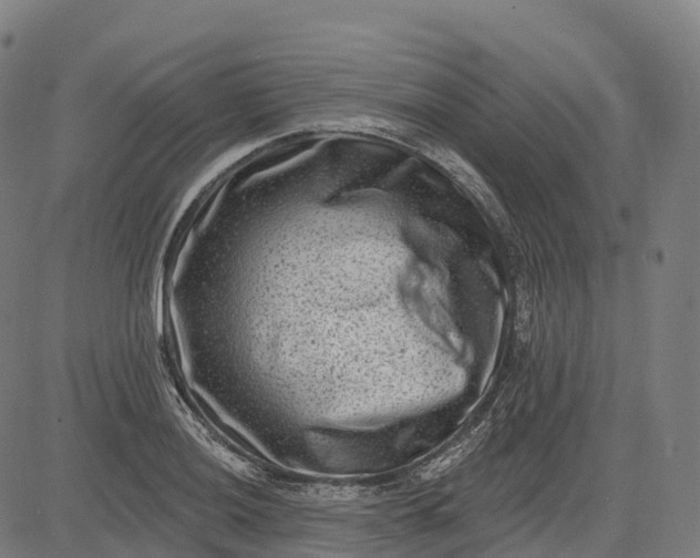 X0000082681036200702091627