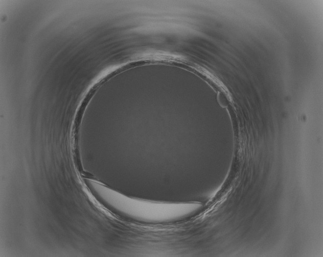 X0000082681037200702091627