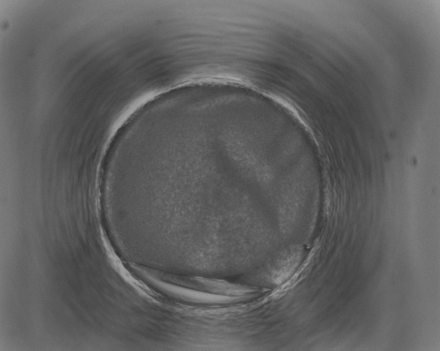 X0000082681038200702091627