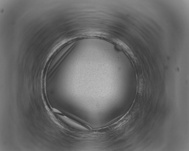 X0000082681039200702091627