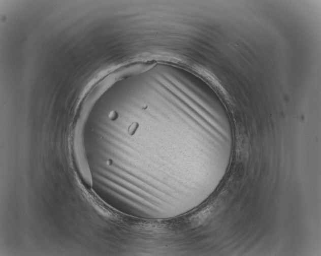 X0000082681040200702091627