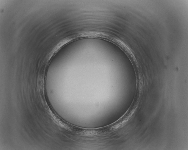 X0000082681041200702091627