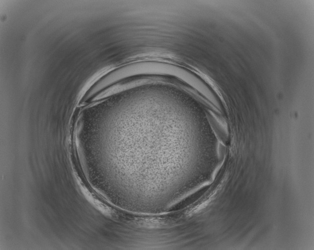 X0000082681042200702091627