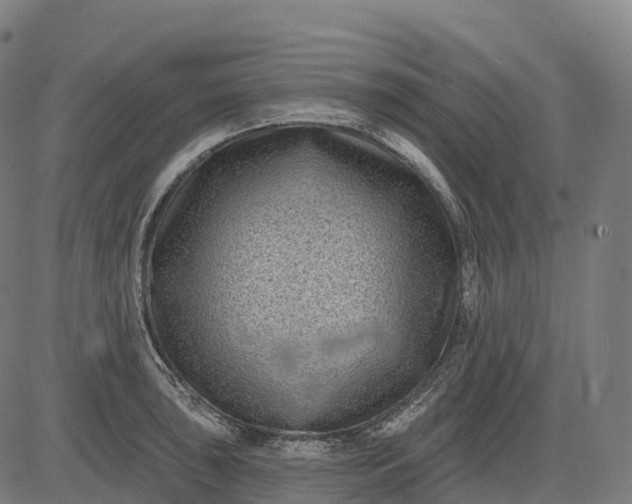 X0000082681043200702091627