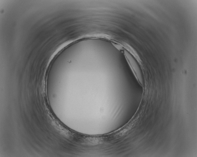 X0000082681044200702091627