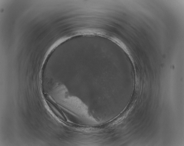 X0000082681045200702091627