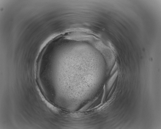 X0000082681046200702091627