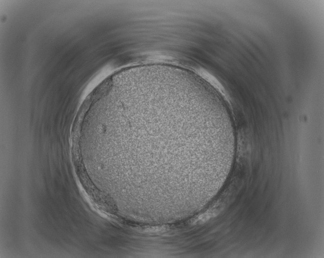 X0000082681047200702091627