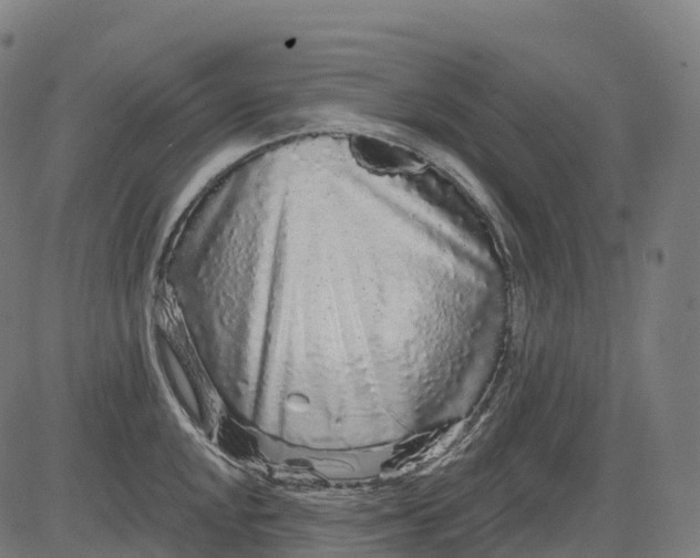 X0000082681048200702091627