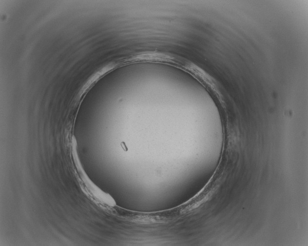 X0000082681049200702091627