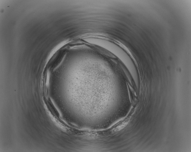 X0000082681050200702091627