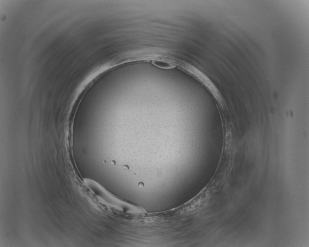 X0000082681051200702091627