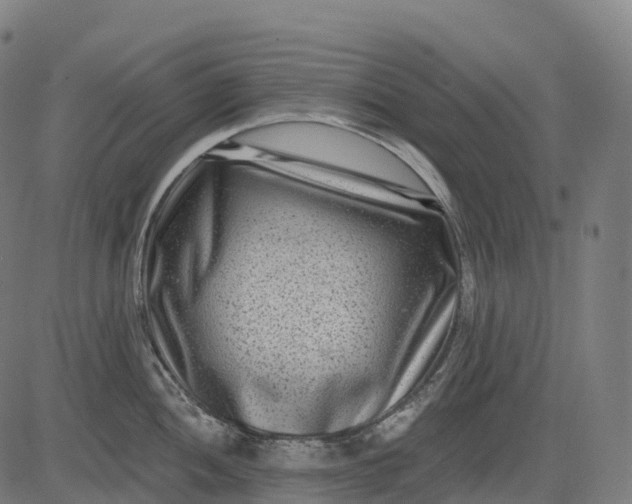 X0000082681052200702091627