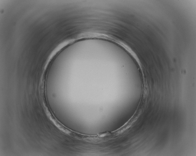 X0000082681053200702091627