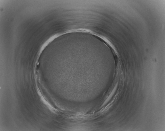 X0000082681054200702091627