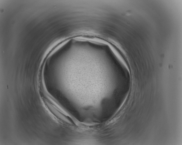 X0000082681056200702091627