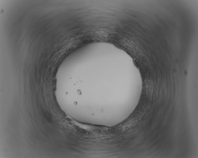 X0000082681057200702091627