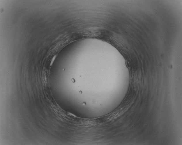 X0000082681058200702091627