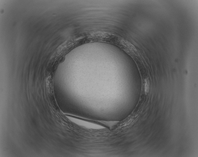 X0000082681059200702091627