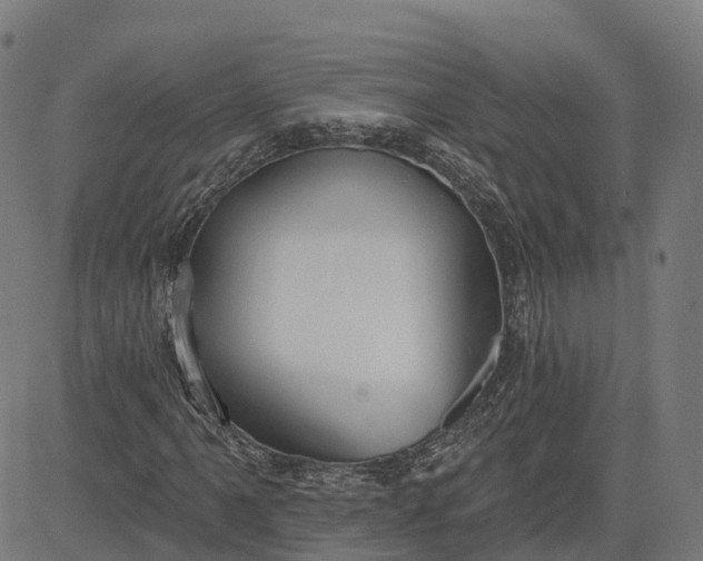 X0000082681061200702091627