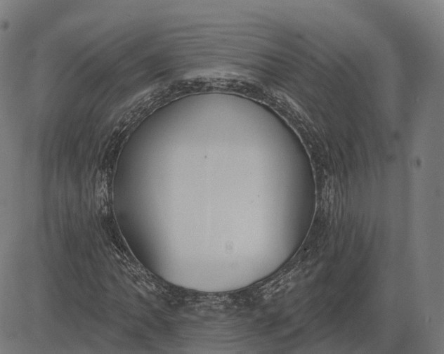 X0000082681062200702091627