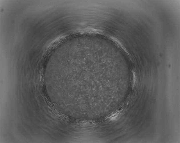 X0000082681063200702091626