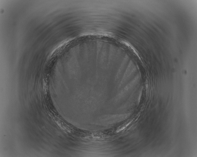 X0000082681064200702091626