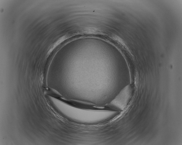 X0000082681065200702091626