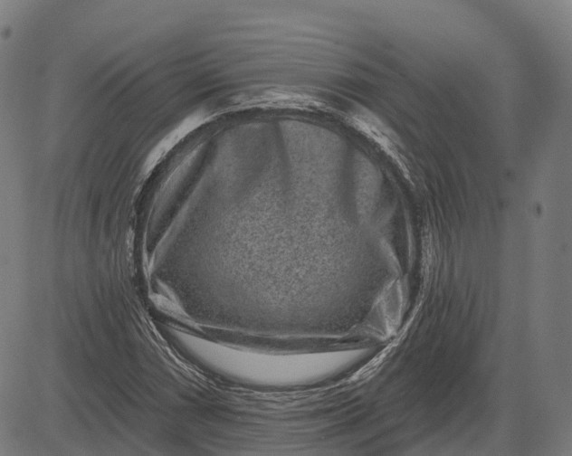 X0000082681066200702091626