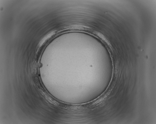 X0000082681067200702091626