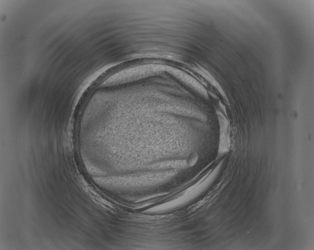 X0000082681068200702091626