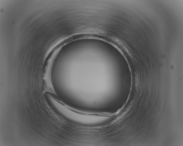 X0000082681069200702091626