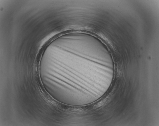 X0000082681070200702091626