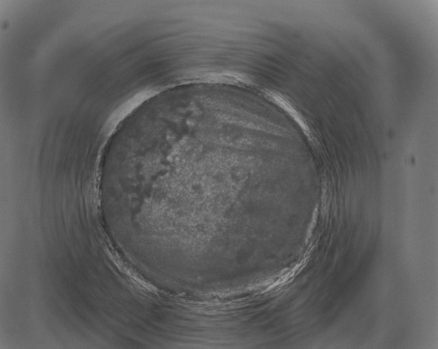 X0000082681071200702091626