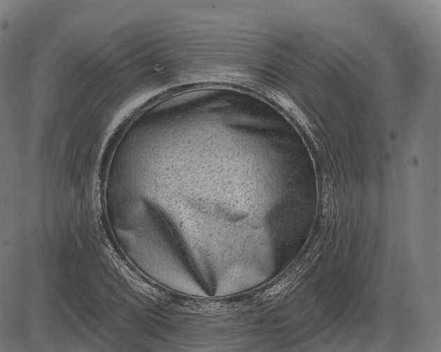 X0000082681072200702091626