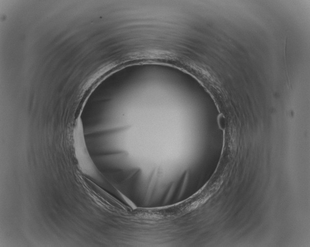 X0000082681073200702091626