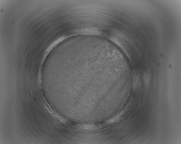 X0000082681074200702091626