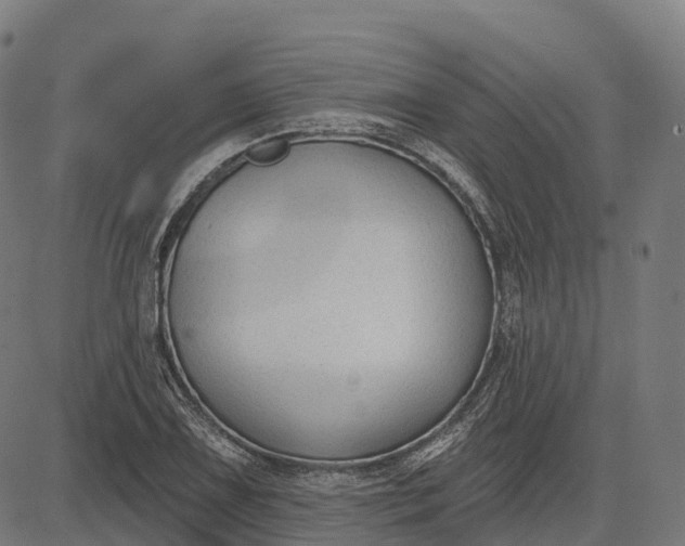 X0000082681075200702091626