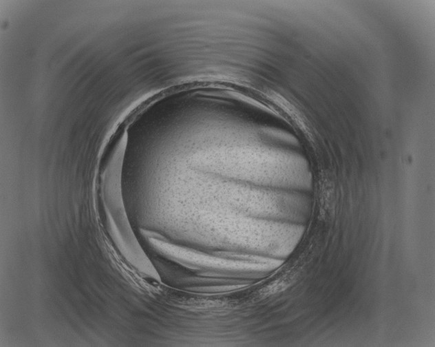 X0000082681076200702091626